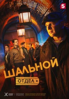 Постер Шальной отдел