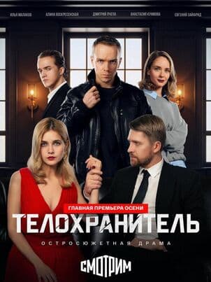Постер Телохранитель