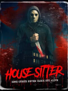 Постер House Sitter