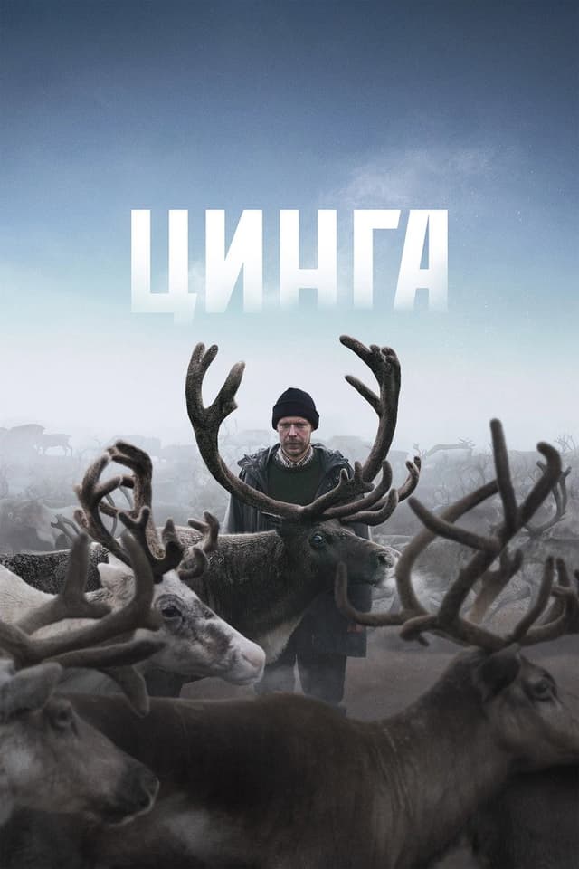 Постер Цинга