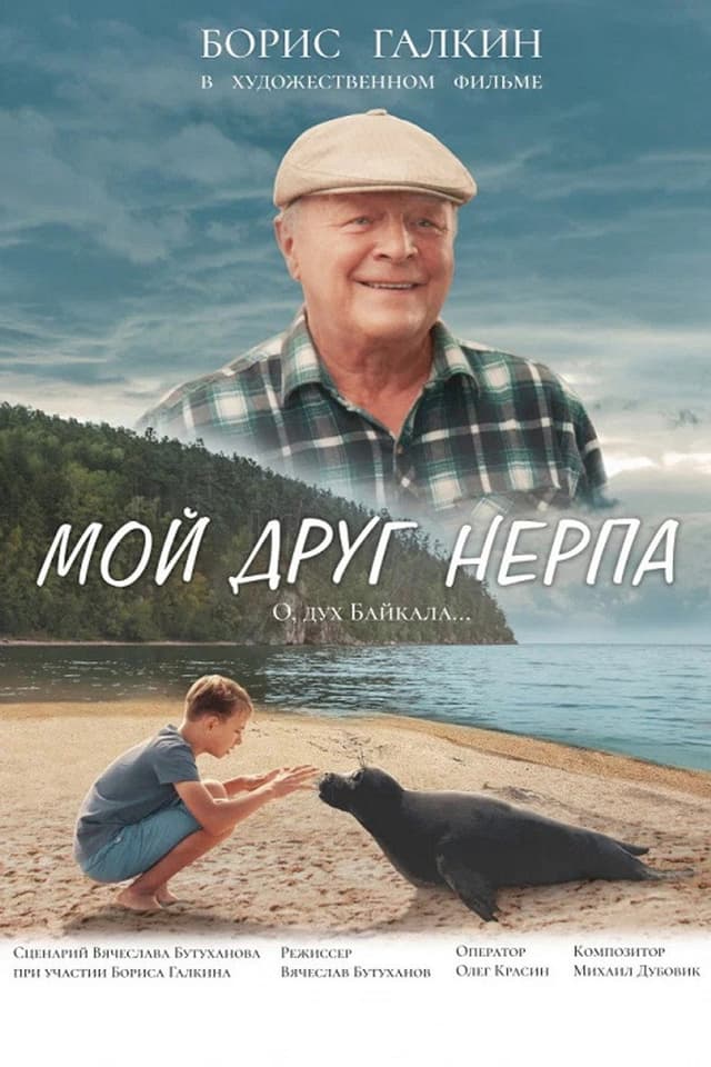 Постер Мой друг нерпа