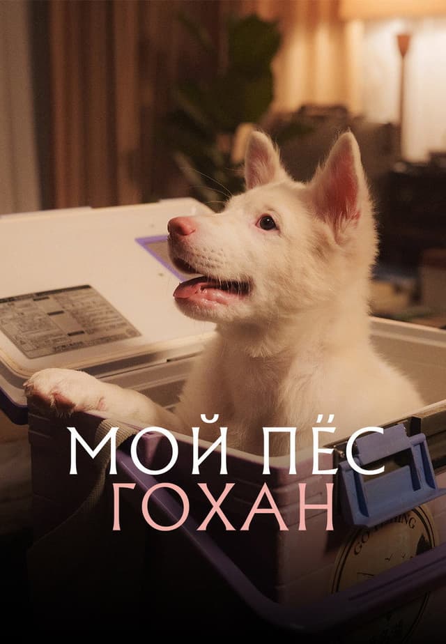 Постер Мой пёс Гохан