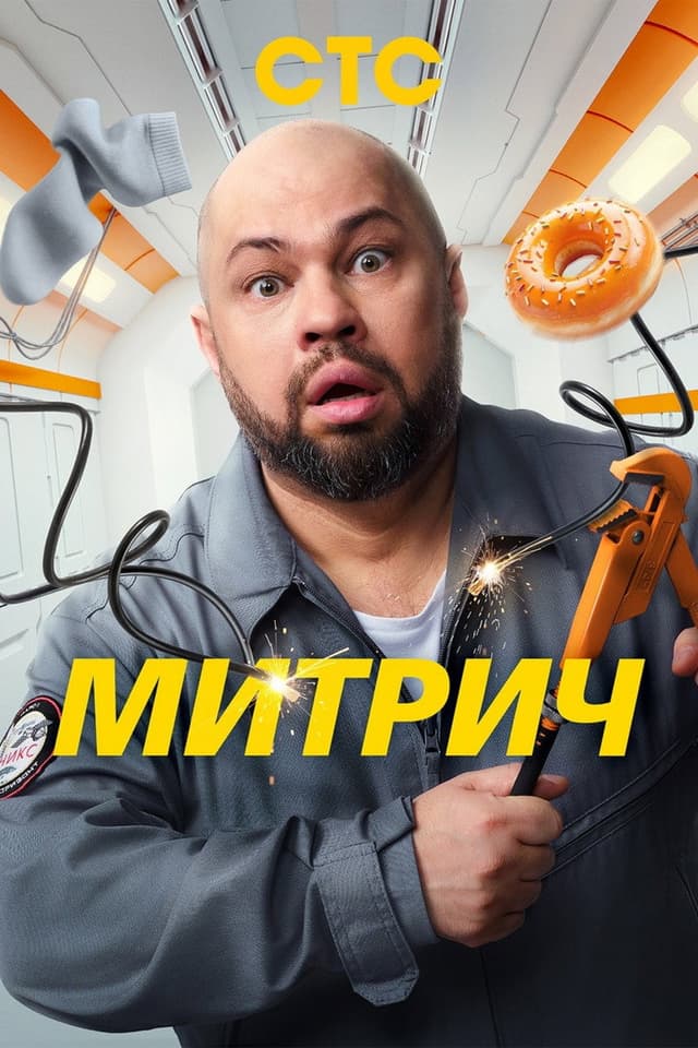 Постер Митрич