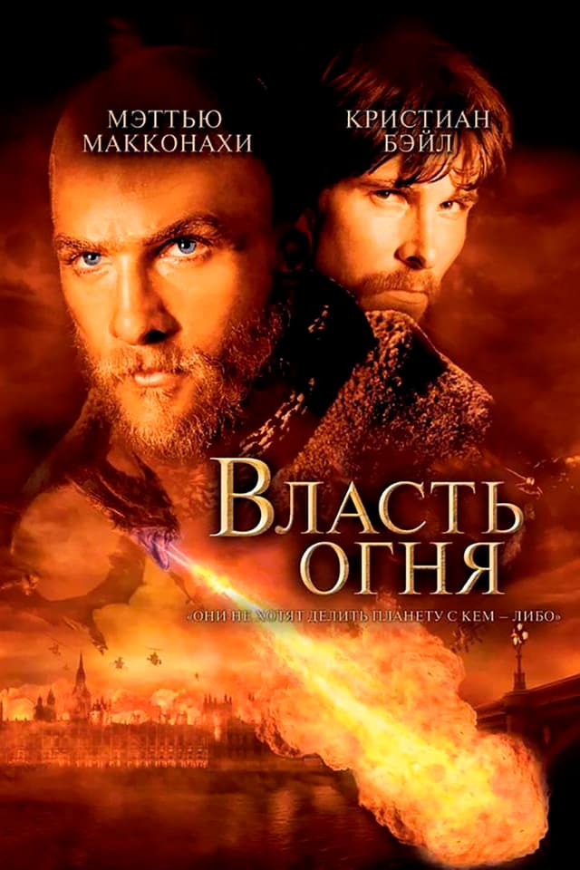 Постер Овцы
