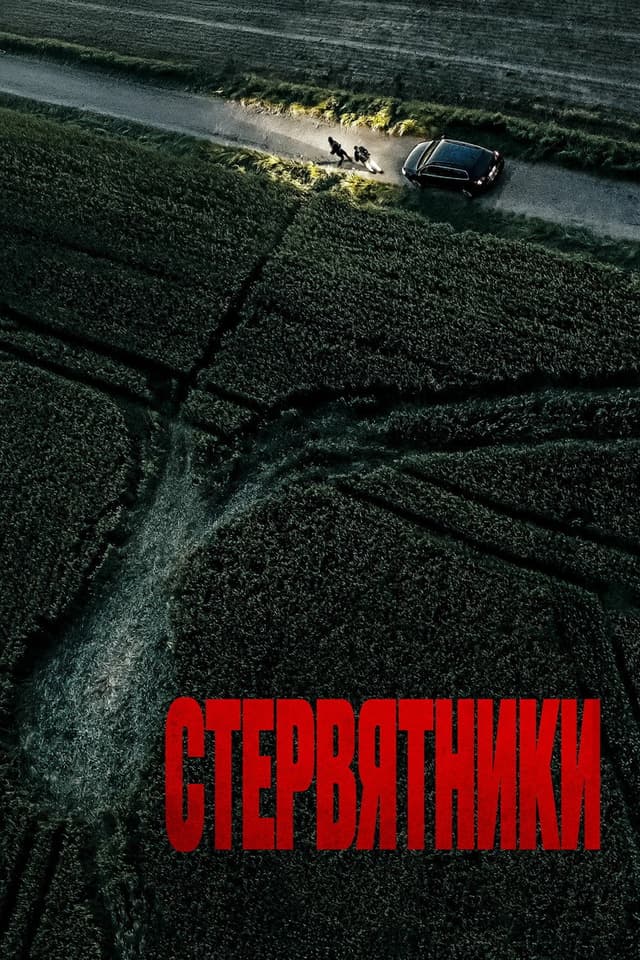 Постер Стервятники