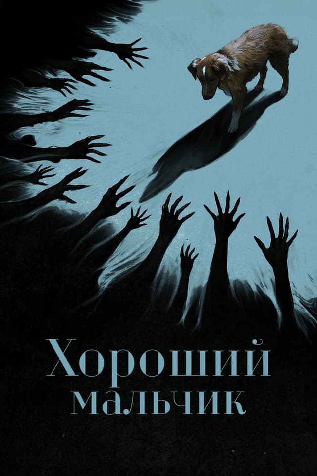 Постер Глазами пса