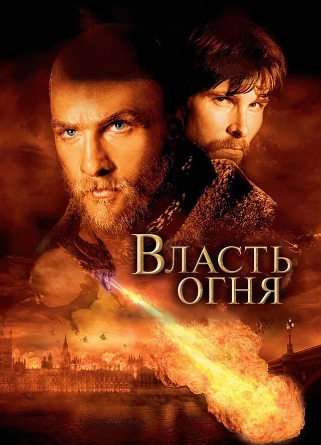 Овцы