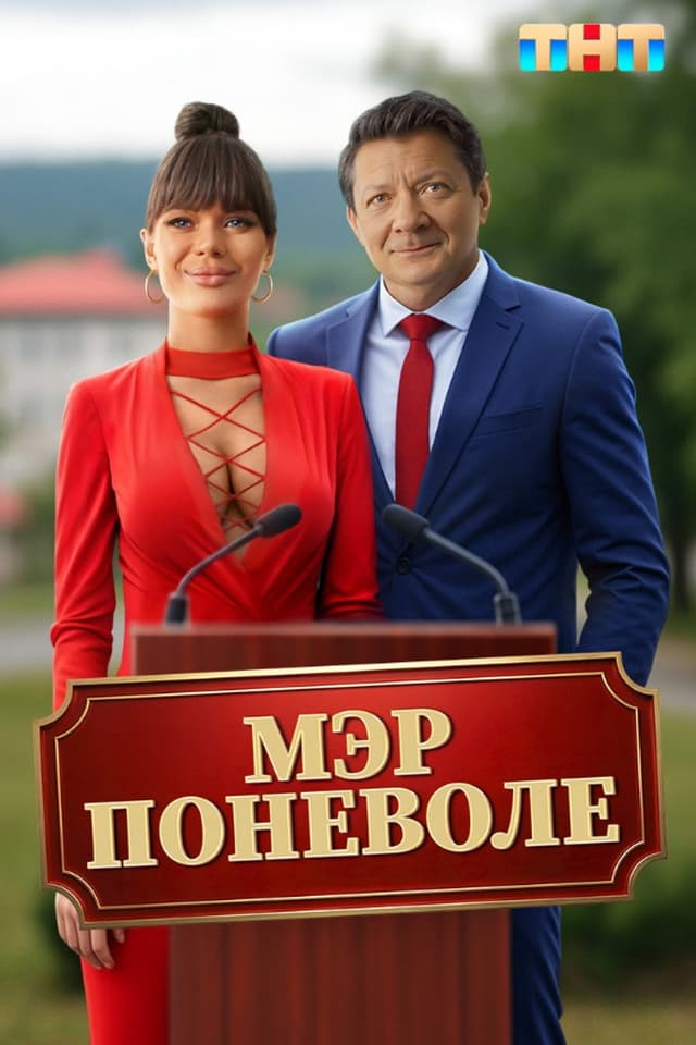 Постер Мэр поневоле