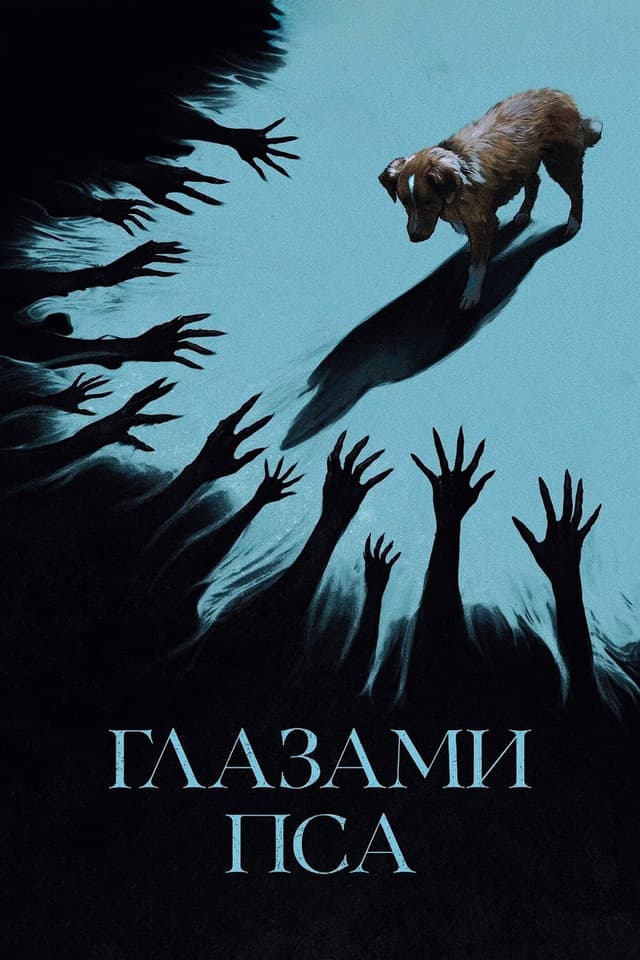 Постер Глазами пса