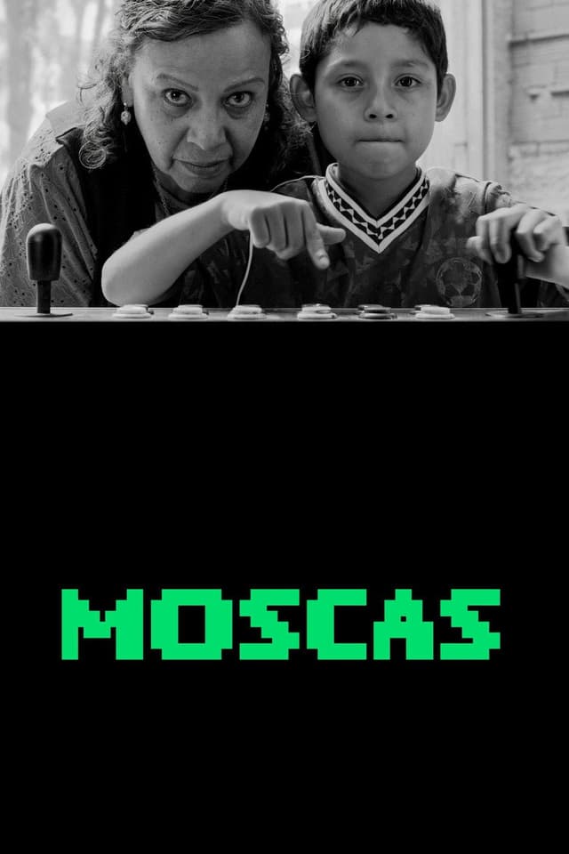 Постер Мухи